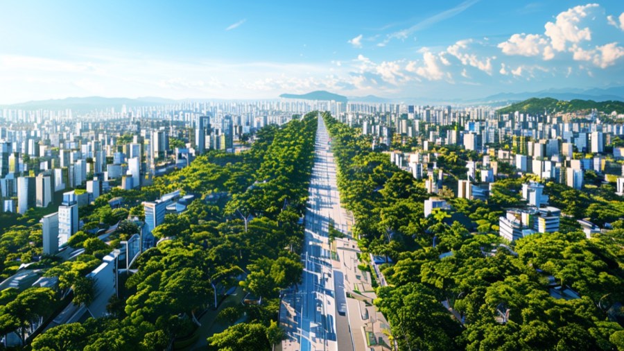 transparencia administrativa